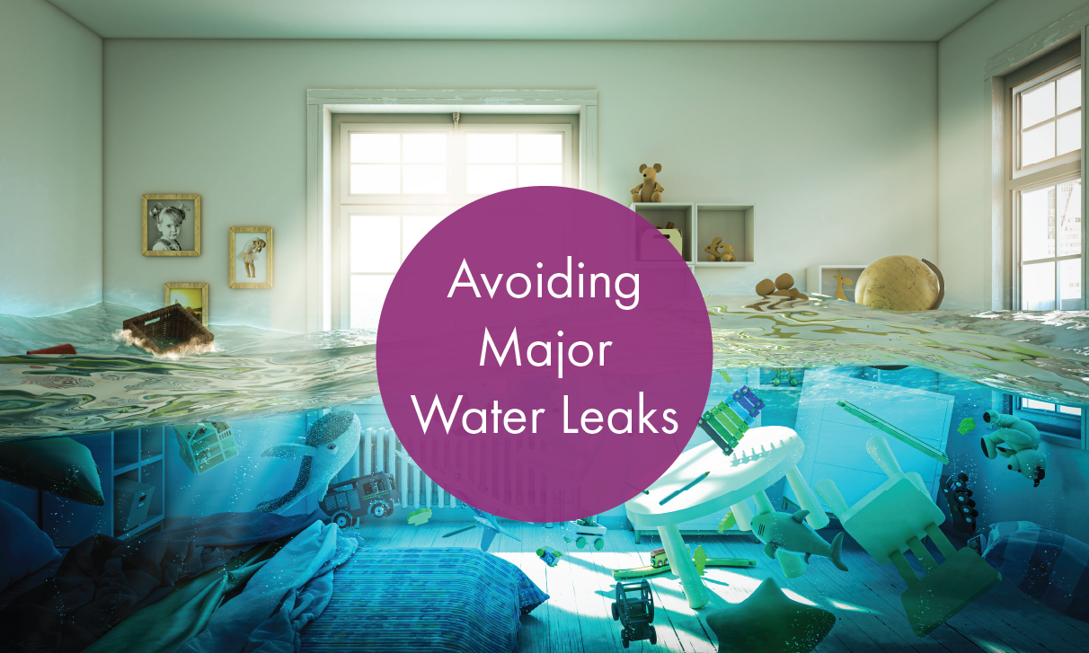 Just imagine returning to your beautiful winter home only to find your floors are covered in two inches of water or your personal property damaged beyond repair. 